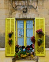 Arles Window