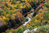 Carp River