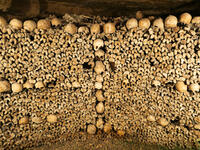 Catacombs-Skulls and Tibias