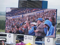 Crowd