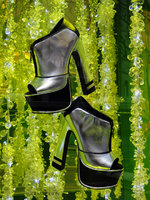 Silver Shoes