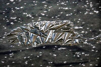 Grasmere Lake Ice