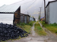 Alley Coal