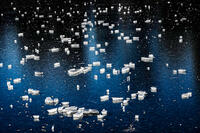 Lake Ice