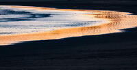 Oregon and the West Coast