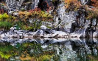 Fall Reflection
