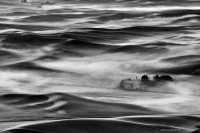 Palouse in Fog