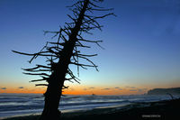 Rialto Beach