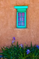 Window and Iris