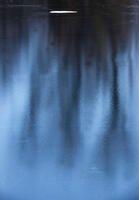 Tree Ice Reflection
