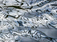 Water Reflections