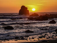 Wilson Beach