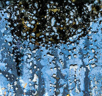Abstracts