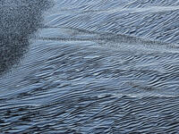 Ripples