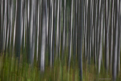 Recent Work-Aspen Impressionism