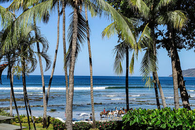 Recent Work-Costa Rica Places and Things