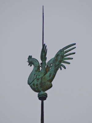 Notre Dame-Top of the Spire