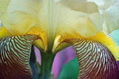 Recent Work-Snippets of Color
