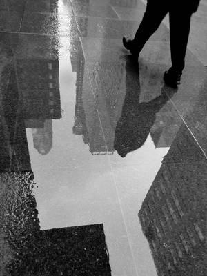 Recent Work-The Streets of New York