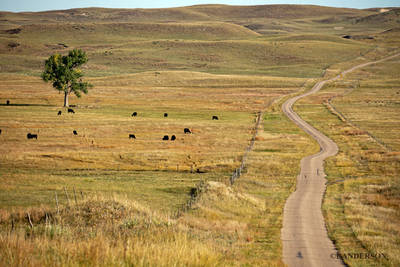 Recent Work-Quiz Time-what and/or where?