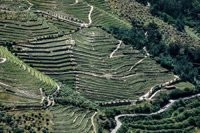 Recent Work-Portugal