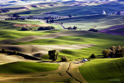 Recent Work-The Palouse