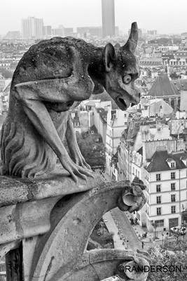 Recent Work-Paris in Black and White