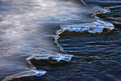 Recent Work-Medicine Creek Winter