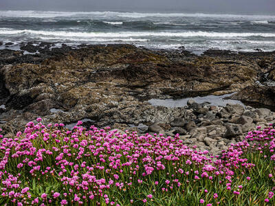 Oregon and the West Coast