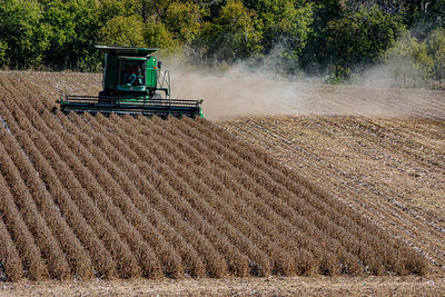 Recent Work-Harvest Time