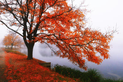 Recent Work-Washington Park