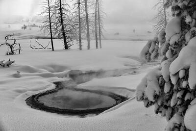 Recent Work-Winter in Yellowstone Revisited