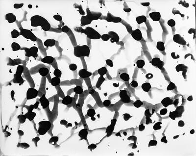 Recent Work-Black and White Abstracts