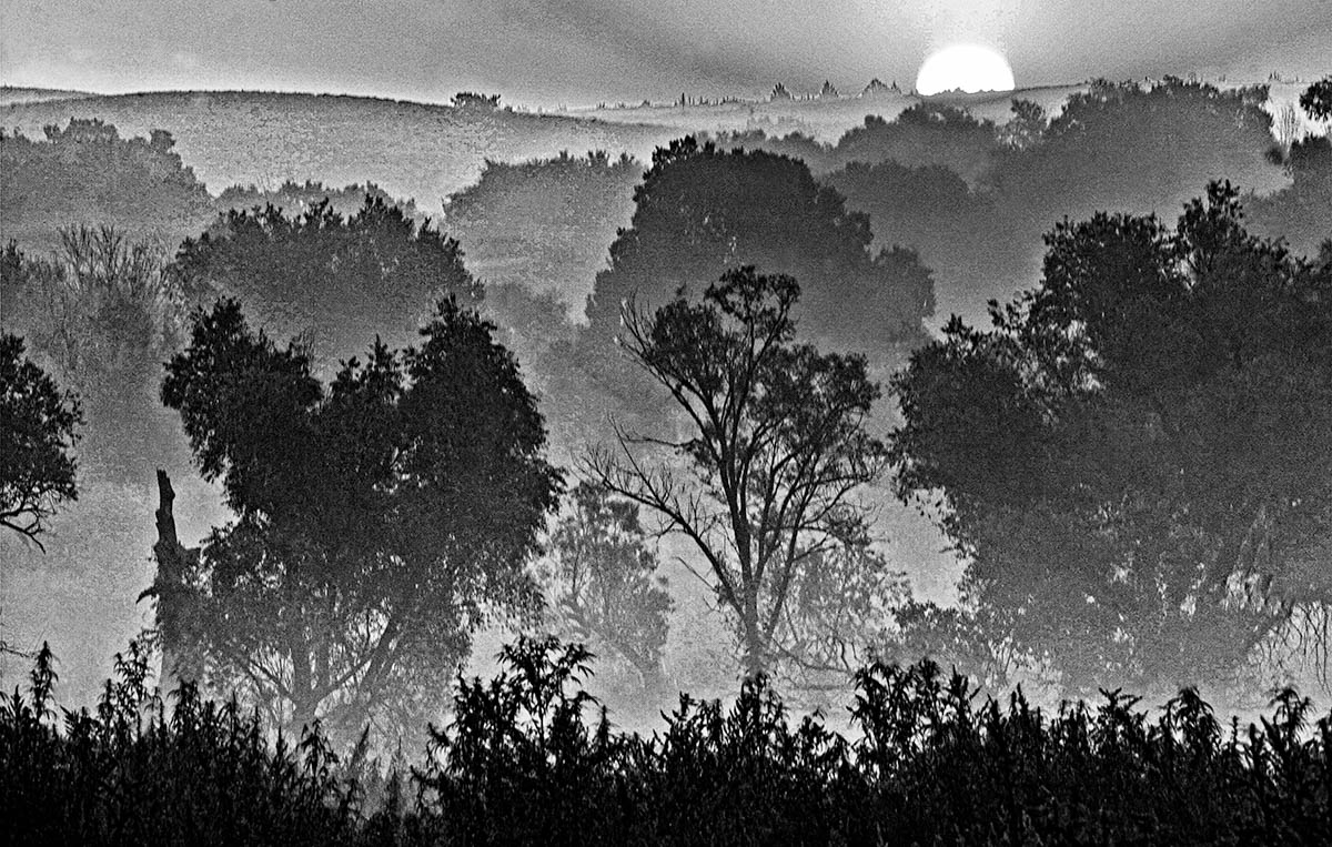 Sunrise fog over valley trees