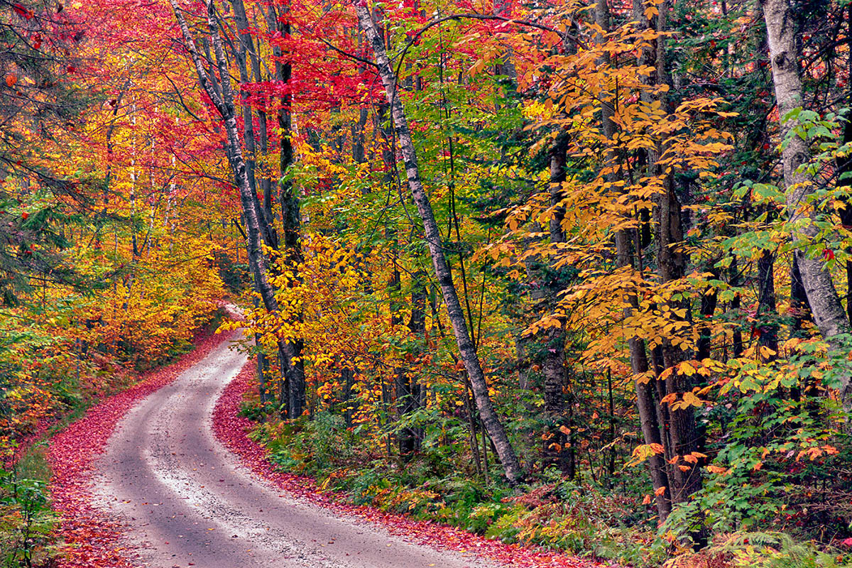 Hazen's Notch