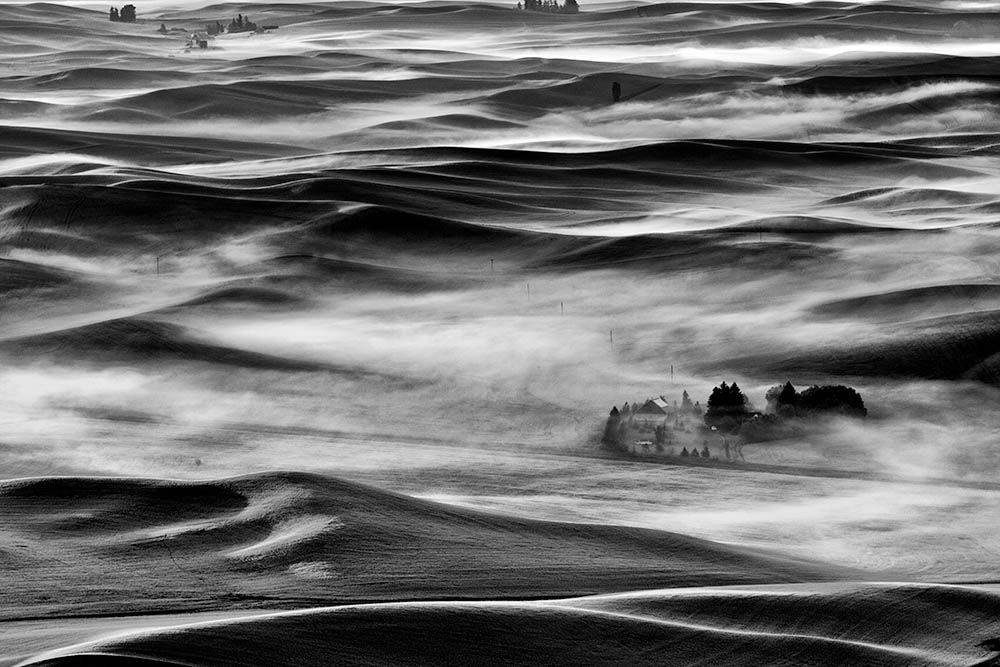 Palouse with morning fog