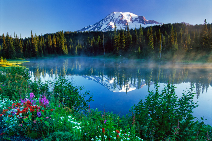 Mount Rainier Morning